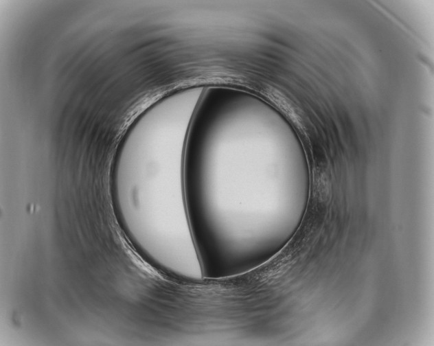 X0000096970389200802080928