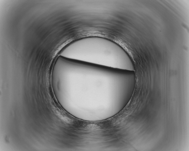 X0000096970390200802080928