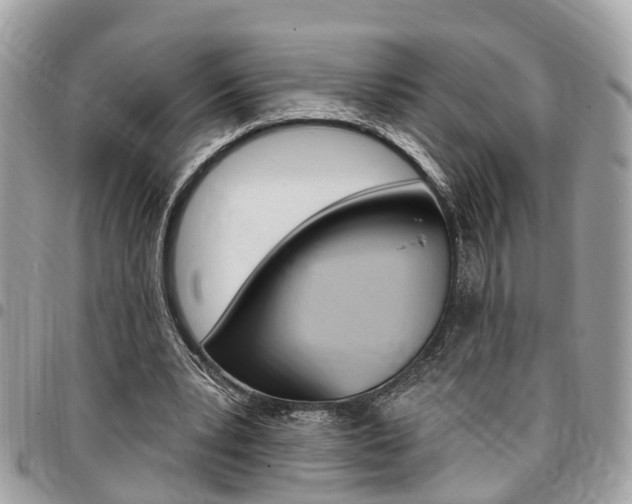 X0000096970391200802080928