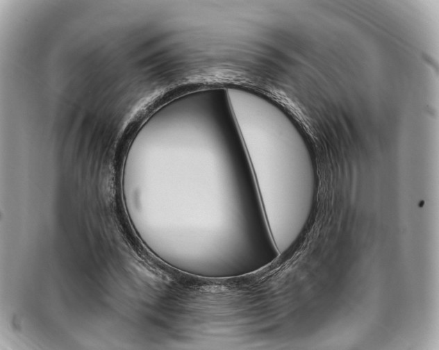X0000096970392200802080928