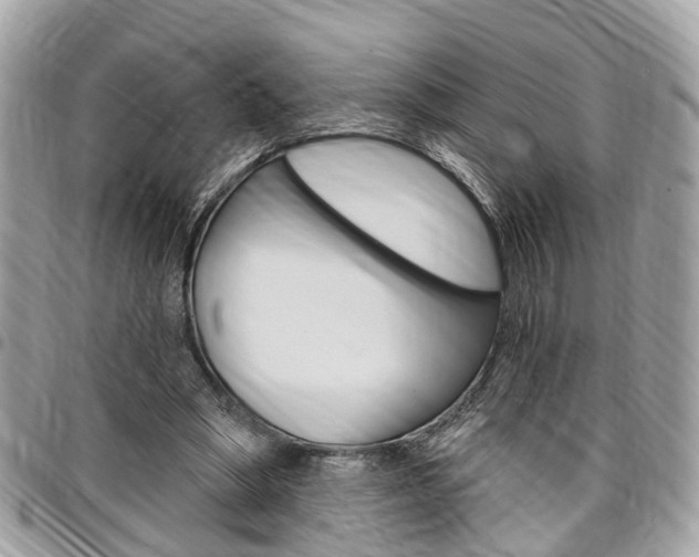 X0000096970394200802080928
