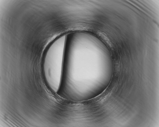 X0000096970395200802080928