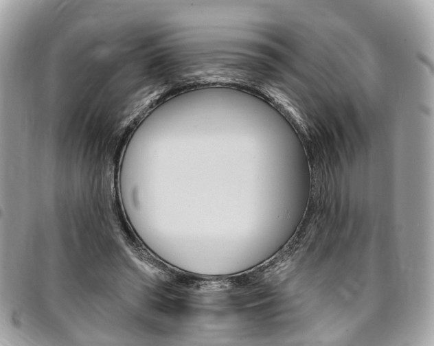 X0000096970398200802080928