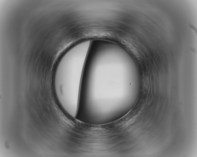 X0000096970399200802080928