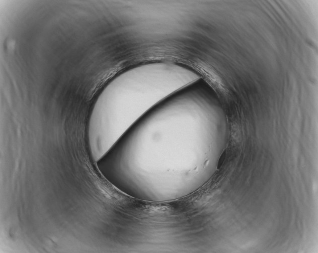 X0000096970401200802080928