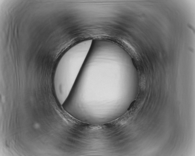X0000096970405200802080928