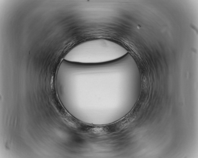 X0000096970406200802080928