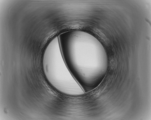 X0000096970407200802080928