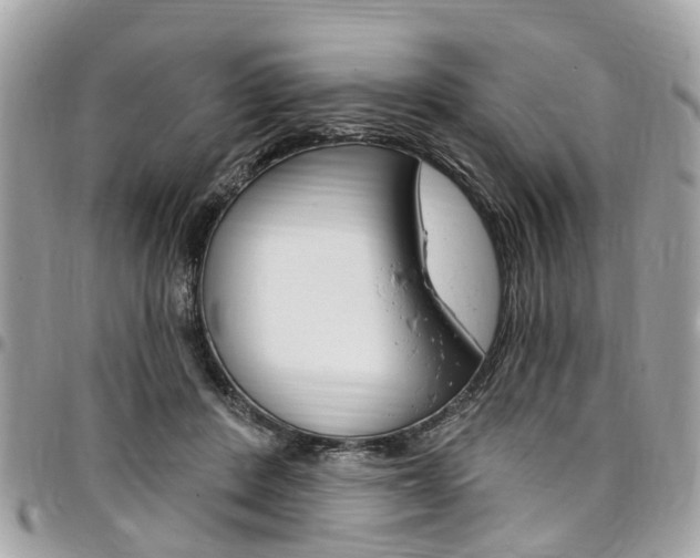 X0000096970408200802080928