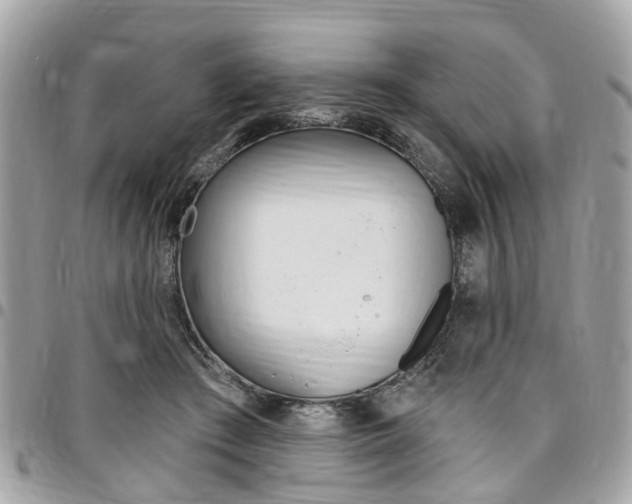 X0000096970409200802080928