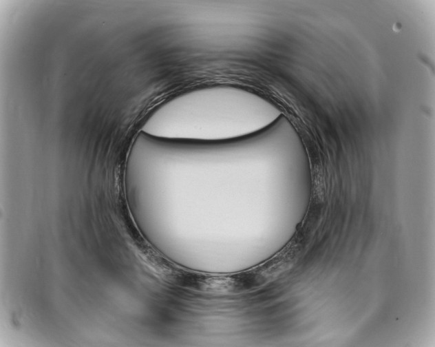 X0000096970410200802080928