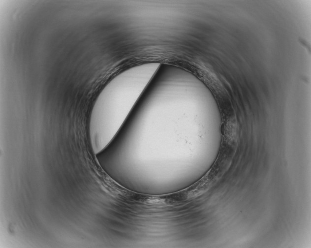 X0000096970413200802080928