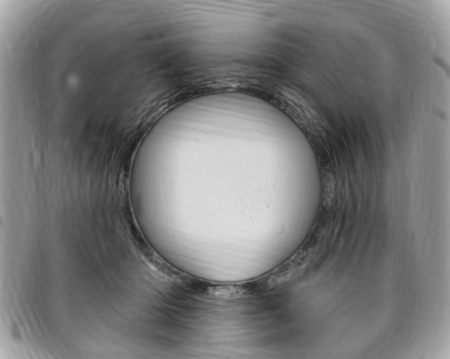 X0000096970414200802080928