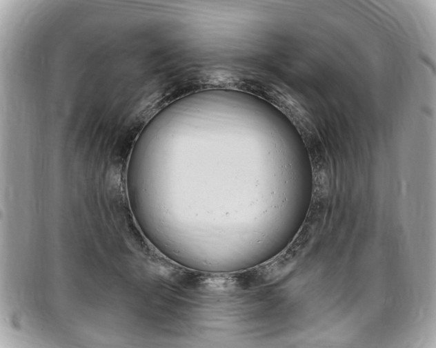 X0000096970415200802080927