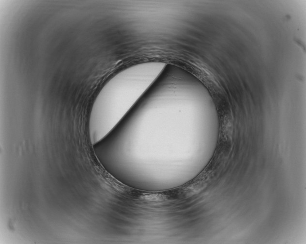 X0000096970417200802080927