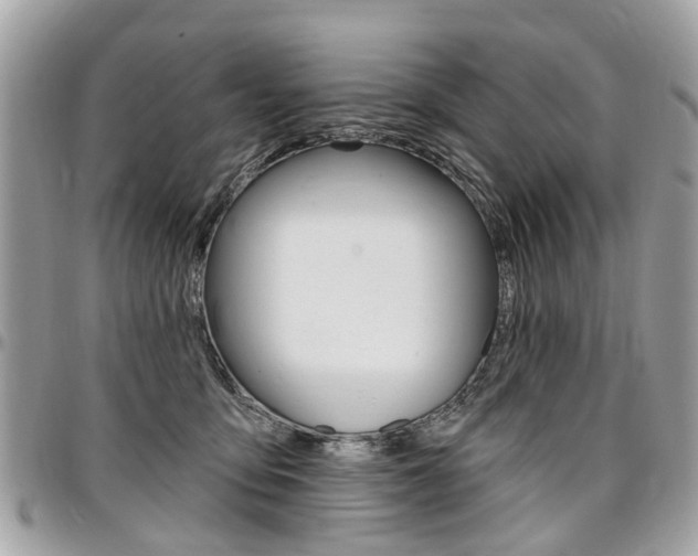 X0000096970419200802080927