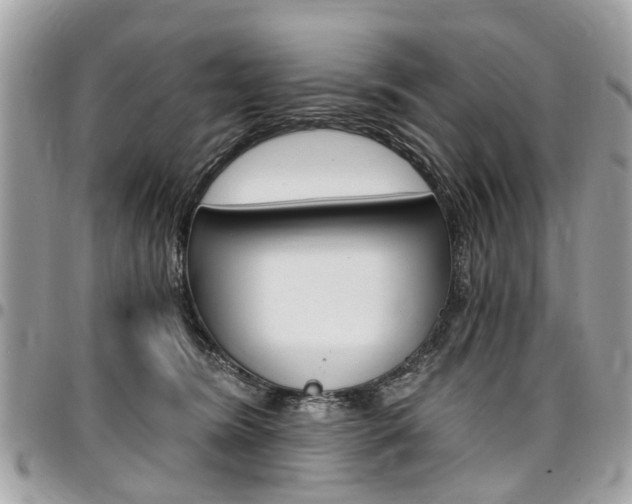 X0000096970420200802080927