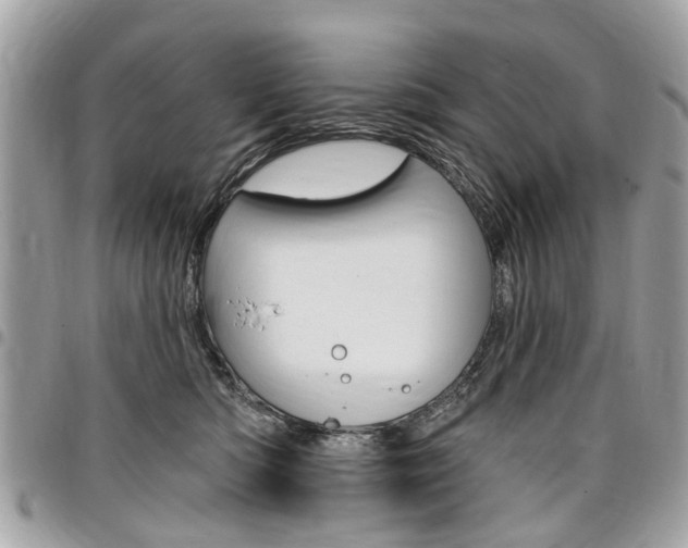 X0000096970422200802080927