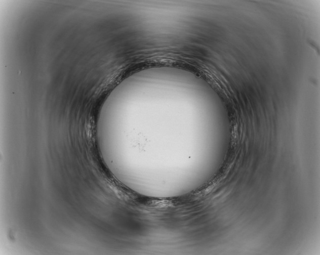 X0000096970424200802080927