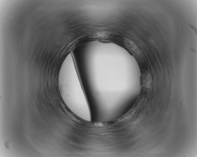 X0000096970425200802080927