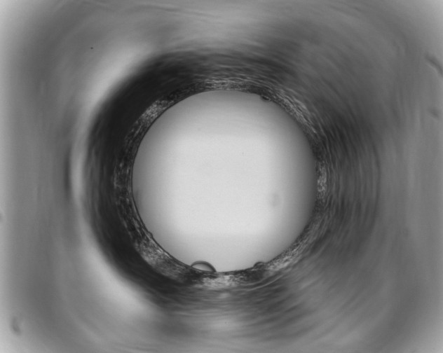 X0000096970430200802080927