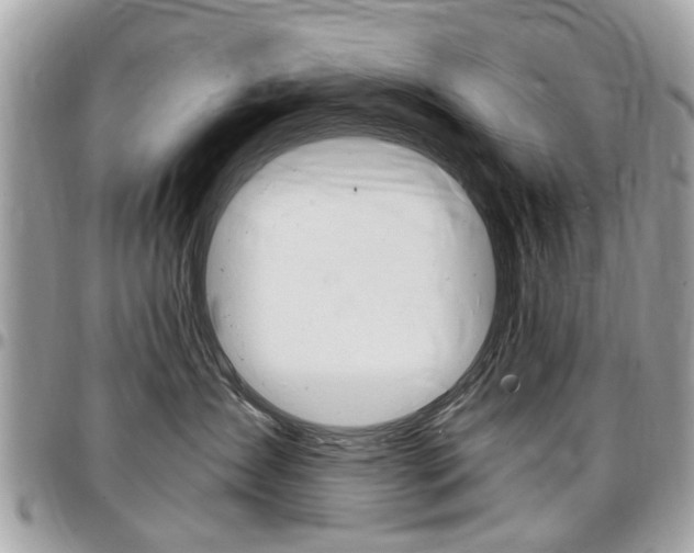 X0000096970431200802080927