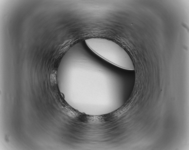 X0000096970432200802080927