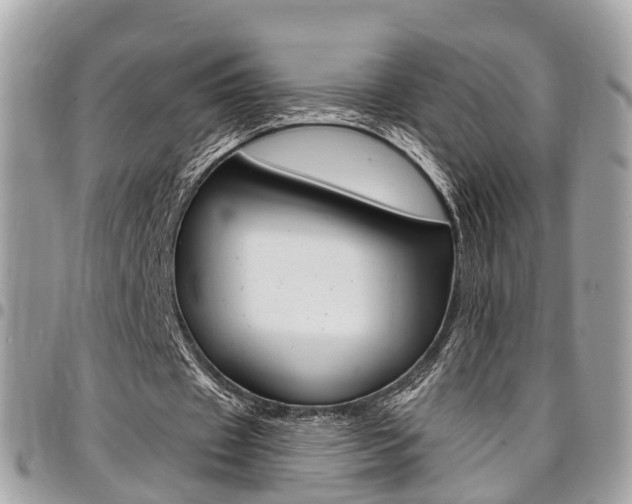 X0000096970433200802080927