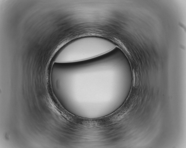 X0000096970435200802080927