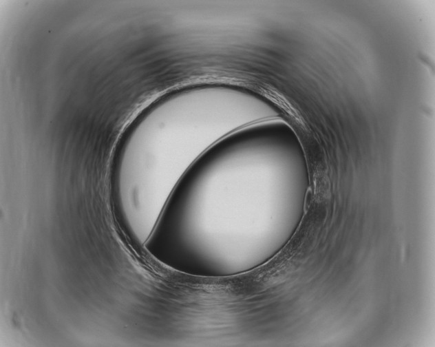 X0000096970436200802080927