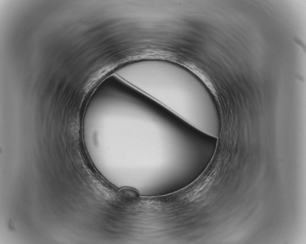 X0000096970437200802080927