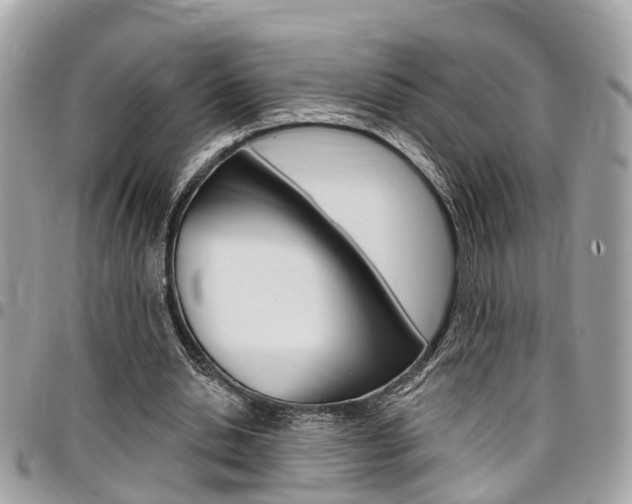 X0000096970438200802080927