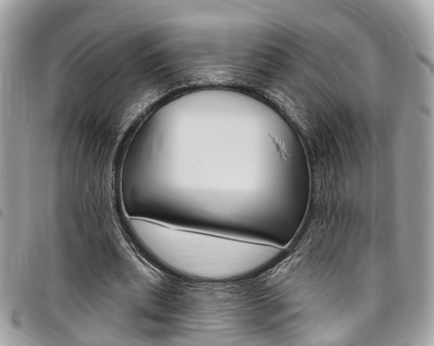 X0000096970439200802080927