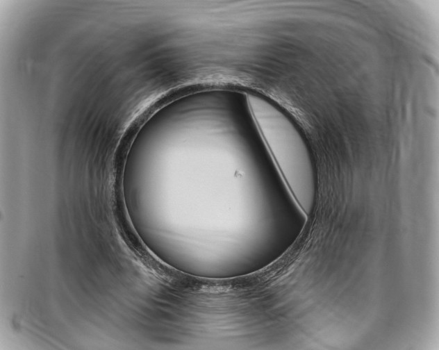 X0000096970440200802080927