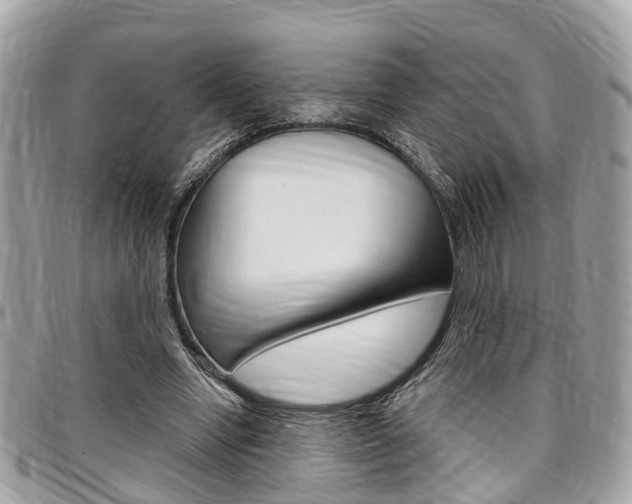 X0000096970442200802080927