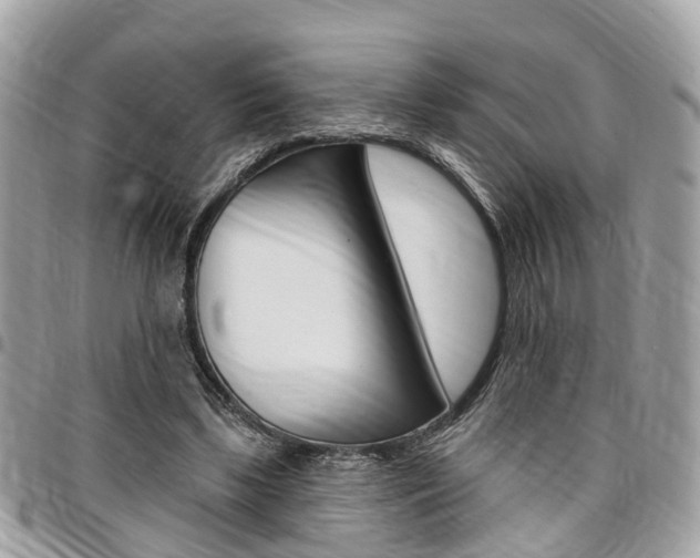 X0000096970443200802080927