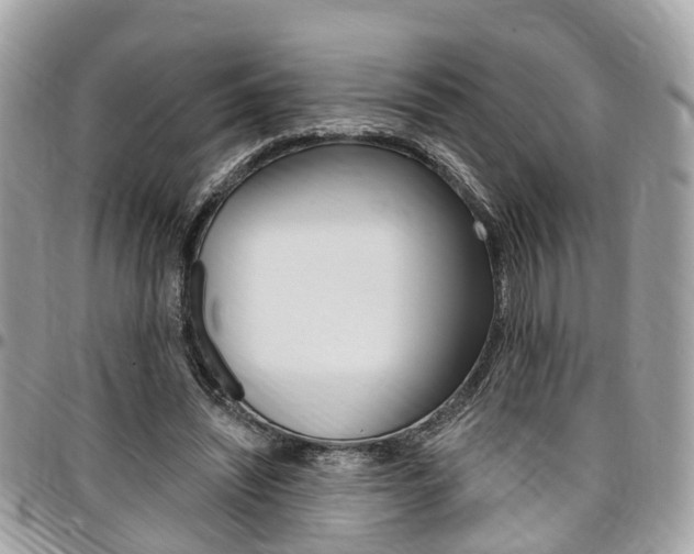 X0000096970444200802080927