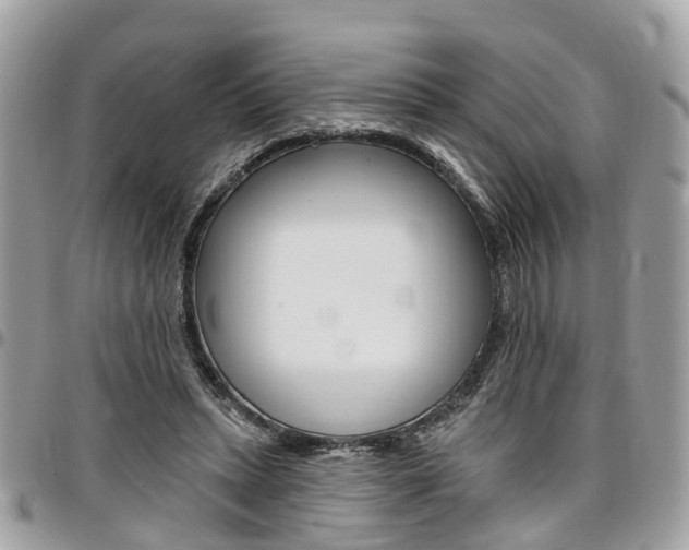 X0000096970447200802080927