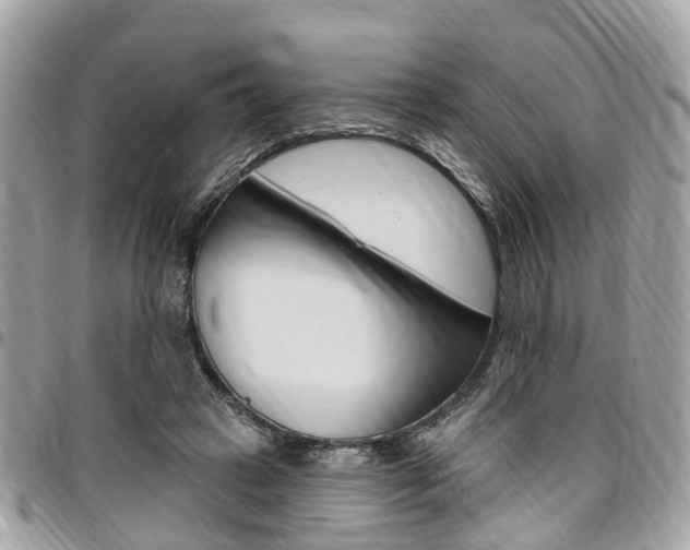 X0000096970449200802080927