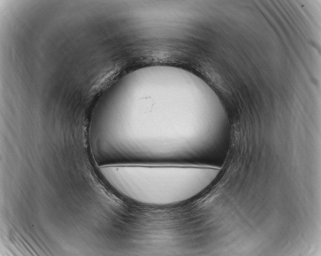 X0000096970450200802080927