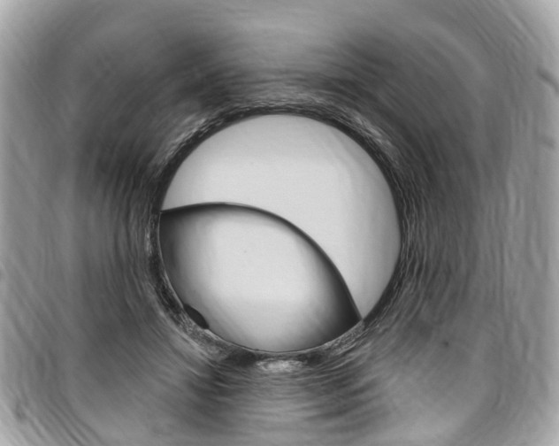 X0000096970452200802080927