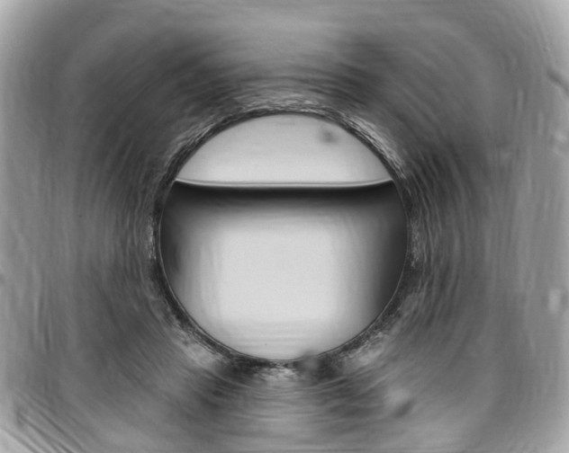 X0000096970453200802080927