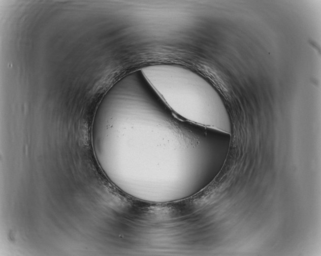 X0000096970457200802080927