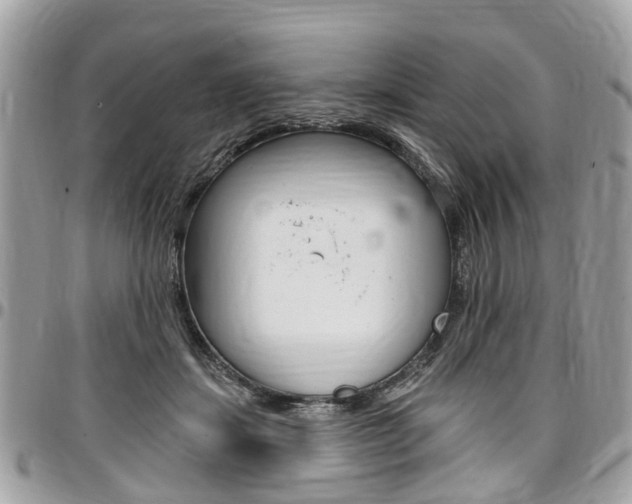 X0000096970459200802080927