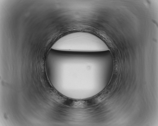 X0000096970461200802080927