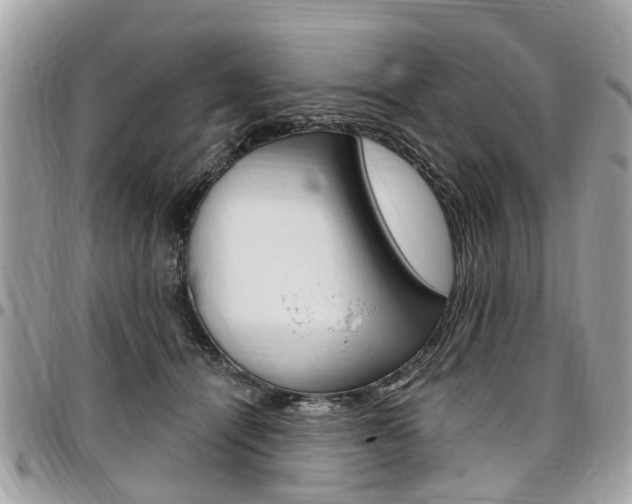 X0000096970464200802080927