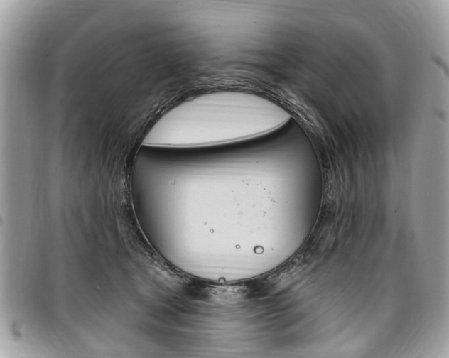 X0000096970465200802080927