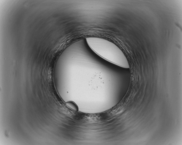 X0000096970466200802080927