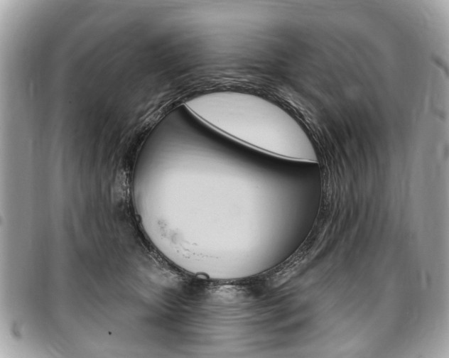 X0000096970467200802080927