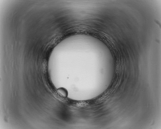X0000096970468200802080927